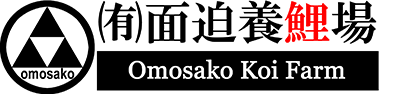 面迫養鯉場